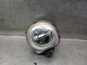Nebelscheinwerfer Rechts Vorne 63177317252 BMW X4 (F26) SAC SUV xDrive20d 16V (B47-D20A)