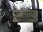 Schiebetür Links 9006H9 Citroën CITROËN 2.2 HDi FAP CAT (4HW)