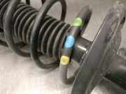 Stoßdämpfer Links Vorne 9826219780 Citroën C-Elysee (DD) Limousine 1.2 Vti 82 12V (EB2F(HMZ))