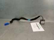 Antenne 259756194R Smart Forfour (453) SchrÃ¤gheck 5-drs Electric Drive, EQ (5AL60)