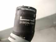 Schlauch 215034819R Renault SC?NIC IV (J9_) 1.5 dCi 110
