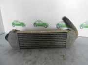 Ladeluftkühler 6C119L440AC Ford CAJA CERRADA, CORTA (FY) (2000 =>) *