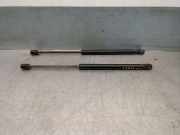 Gasdruckfedern Set Hinten 7700842256 Renault II (BB_, CB_) 1.5 dCi (B/CB07)