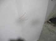 Motorhaube 1U0823031D Skoda Octavia (1U2) Liftback 1.9 TDi GLX,SLX (AGR)