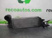 Ladeluftkühler 1489396080 Fiat ULYSSE (179) 2.2 16V JTD CAT