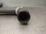 Schlauch 215018135R Renault SC?NIC IV (J9_) 1.5 dCi 110