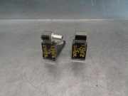 Scharniere Fiat Linea (323AX) Limousine 1.3 D Multijet 16V VGT (199.A.3000)