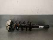 Sto?d?mpfer Links Vorne 8W0413031AA Audi B9 Avant (8W5, 8WD) 2.0 TDI