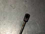 Gasdruckfeder Set Vorne 654710003R Renault III BERLINA 5 P 1.2 16V