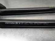 Lichtmaschine Halter 231244A002 Kia Sorento I (JC) SUV 2.5 CRDi 16V (D4CB)