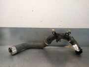 Schlauch 144609921R Nissan Juke (F15) SUV 1.2 12V DIG-T (HRA2)