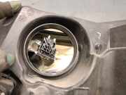 Scheinwerfer Rechts BM5113W029CJ Ford Focus 3 Schrägheck 1.0 Ti-VCT EcoBoost 12V 125 (M1DA(Euro 5))