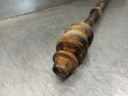 Bremsanker Stange Links Hinten RGD500083 Land + Range Rover Discovery III (LAA/TAA) Gel?ndewagen 2.7 TD V6 (276DT)