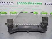 Radiator 51733011 Fiat Punto II (188) Schr?gheck 1.9 JTD 80 ELX (188.A.2000)