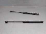 Gasdruckfeder Set Vorne 51327148346 BMW X6 (E71/E72) SUV xDrive40d 3.0 24V (N57-D30B)