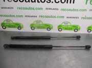 Gasdruckfedern Set Hinten 844300009R Renault Megane III Grandtour (KZ) Kombi 5-drs 1.5 dCi 110 (K9K-832(K9K-G8))