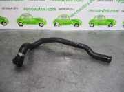 Lenkradschalter 25549JK000 Infiniti FX (S51) SUV 50 5.0 V8 32V VVEL AWD (VK50VE)