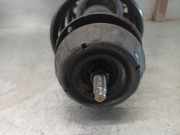 Innenbeleuchtung 735244962 Fiat Ducato (250) Ch.Cab/Pick-up 2.3 D 120 Multijet (F1AE0481D)