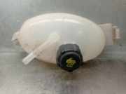 Ausgleichbehälter - - 217100015R Nissan NV400 Furgoneta (X62, X62B) dCi 130