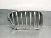 Grill 51117210726 BMW X4 (F26) SAC SUV xDrive35d 24V (N57-D30B)