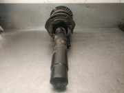 Stoßdämpfer Rechts Vorne 31316791541 BMW 1 serie (F20) Schrägheck 5-drs 116d 2.0 16V (N47-D20C)