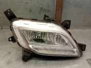 Nebelscheinwerfer Links Vorne 92201G5000 Kia *