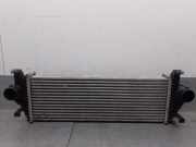 Ladeluftkühler 55038004AD Jeep Grand Cherokee (WK/WK2) SUV 3.0 CRD V6 24V (EXF)