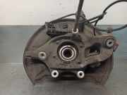 Achsschenkel Halter Links Hinten A2043503108 Mercedes-Benz E (C207) Coupé E-350 CDI V6 24V (OM642.836)