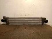 Ladeluftkühler 144960015R Renault Master III (MA/MB/MC/MD/MH/MF/MG/MH) Van 2.3 dCi 135 16V FWD (M9T-702(M9T-B7))