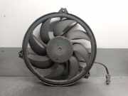 Kühlerventilator 9671972780 Peugeot 206 (2A/C/H/J/S) Schrägheck 1.4 HDi (DV4TD(8HX))