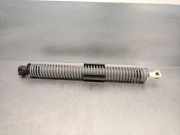 Gasdruckfedern Set Hinten 51247366403 BMW 5 serie (G30) Limousine 523d 2.0 TwinPower Turbo 16V (B47-D20A)