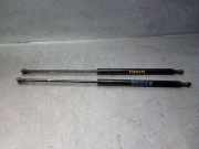 Gasdruckfedern Set Hinten 321827550F Volkswagen Passat Variant (33B) Kombi 1.6 D,LD,GLD (JK) JK