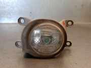 Nebelscheinwerfer Links Vorne 8122002190 Toyota Corolla Touring Sport (E21/EH1) Kombi 1.8 16V Hybrid (2ZRFXE)