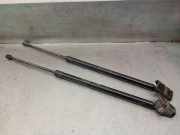 Gasdruckfedern Set Hinten A6399800164 Mercedes-Benz / MIXTO Furgoneta (W639) 111 CDI (639.601, 639.603)
