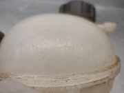 Ausgleichbehälter - - 9800777280 Citroën C3 (SC) Schrägheck 5-drs 1.0 Vti 68 12V (EB0(ZMZ))