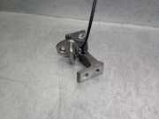 Scharniere 4H0831402 Audi RS7 Sportback (4GA/4GF) Schrägheck 5-drs 4.0 V8 TFSI Performance 32V (CWUC)