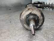 Sto?d?mpfer Links Hinten R3796 Volkswagen Polo III (6N2) Schr?gheck 1.0 (AUC) AUC