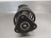 Stoßdämpfer Links Vorne 824903016748 Ford Focus C-Max Großraumlimousine 2.0 TDCi 16V (G6DA)