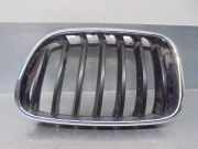 Grill 51117210725 BMW X3 (F25) SUV xDrive20d 16V (N47-D20C)