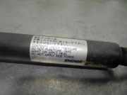 Gasdruckfedern Set Hinten B22H62620B Mazda 323 P (BA15) Schrägheck 1.5i 16V (Z501)