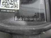 Tankklappe A2516300167 Mercedes-Benz R (W251) Gro?raumlimousine 3.0 320 CDI 24V 4-Matic (OM642.950)