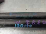 Gasdruckfedern Set Hinten 3M51R406A10AB Ford Focus C-Max Großraumlimousine 1.6 16V (HWDA)