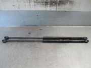 Gasdruckfedern Set Hinten 46453503 Fiat Seicento (187) Schrägheck 1.1 S,SX,Sporting,Hobby,Young (176.B.2000)