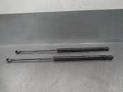 Stoßdämpfer Vorne 6L6827550B Seat Leon (1M1) Schrägheck 5-drs 1.9 TDI 110 (ASV)