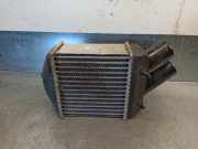 Ladeluftkühler 7700838130B Renault I BERLINA Schrägheck (BA0) 1.9 dTi Diesel CAT