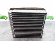 Klima Verdampfer Ford (TC7) 1.8 TDCi CAT