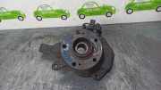 Achsschenkel Halter Links Vorne 8200320879 Renault Vel Satis (BJ) Großraumlimousine 3.0 dCi V6 24V (P9X-701(Euro 3))