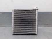 Klima Verdampfer 77364087 Fiat Ducato (250) Ch.Cab/Pick-up 2.3 D 120 Multijet (F1AE0481D)