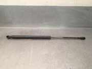 Gasdruckfedern Set Hinten 89FBB406A10 Ford Fiesta 3 Schrägheck 1.1 CL,CTX (S6) (GUE)