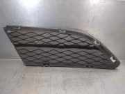 Grill 51117138417 BMW 3 serie (E90) Limousine 320d 16V (N47-D20C)